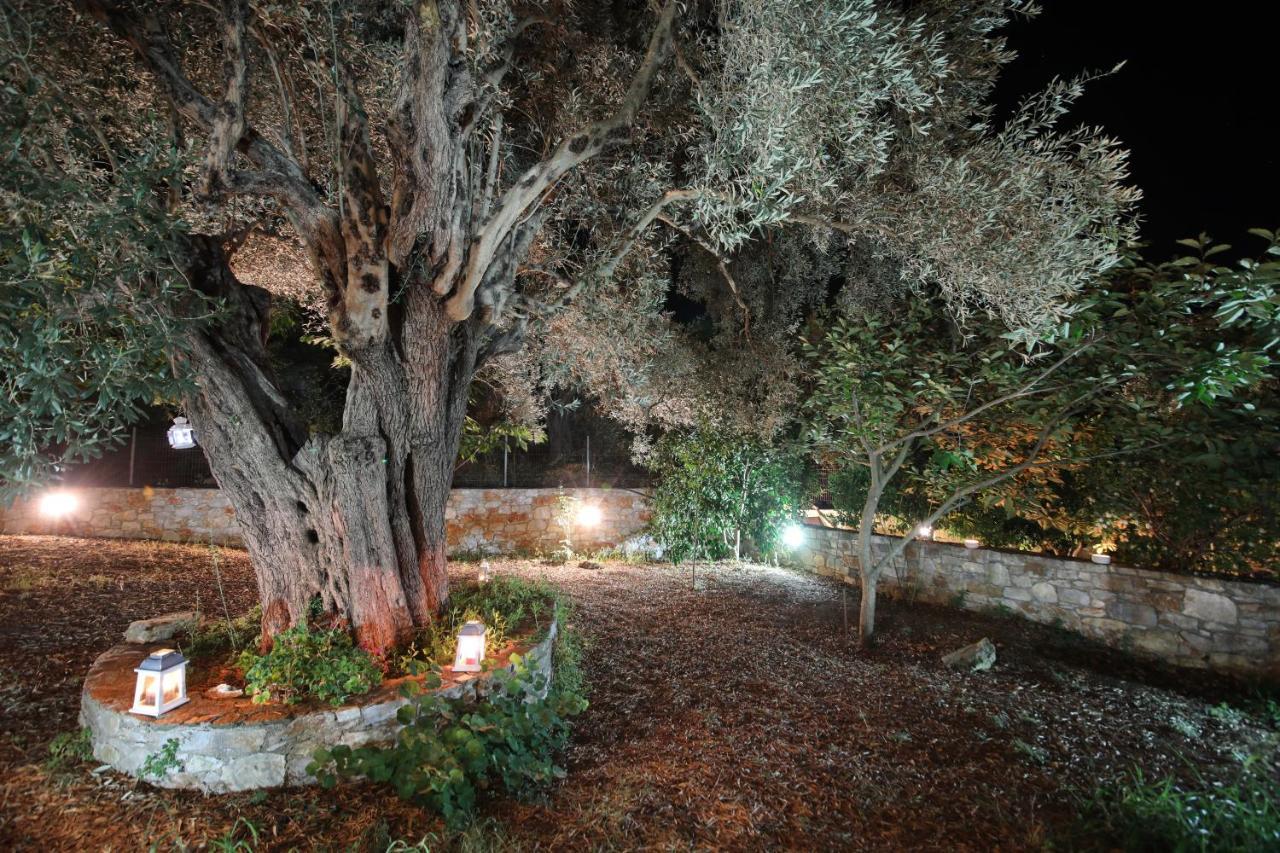 Koromilia Villa نيو كليما المظهر الخارجي الصورة